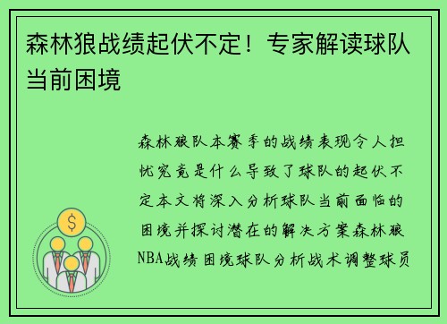 森林狼战绩起伏不定！专家解读球队当前困境